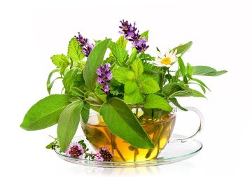 herbal-pure-tea
